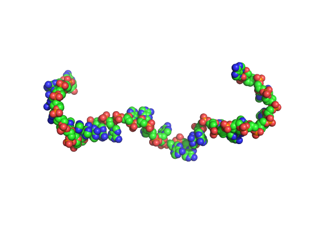 Poly-deoxyadenosine (30mer) CUSTOM IN-HOUSE model