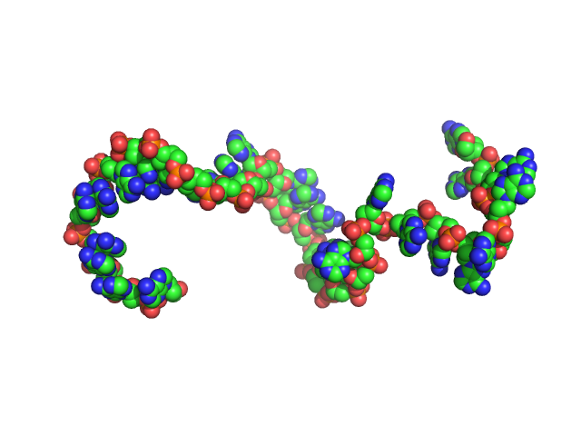 Poly-deoxyadenosine (30mer) CUSTOM IN-HOUSE model