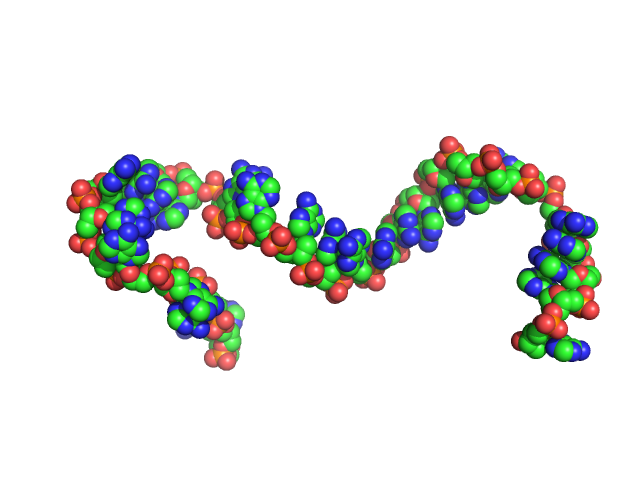 Poly-deoxyadenosine (30mer) CUSTOM IN-HOUSE model