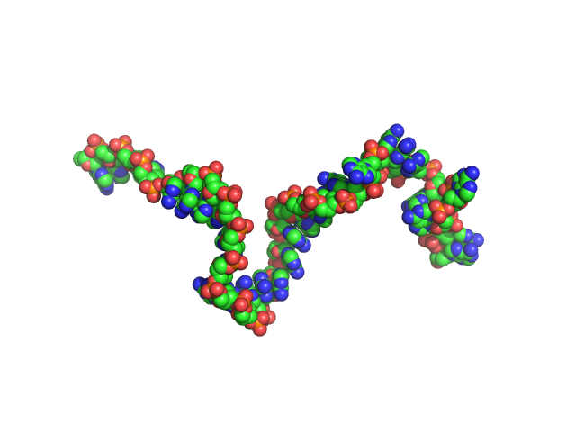 Poly-deoxyadenosine (30mer) CUSTOM IN-HOUSE model