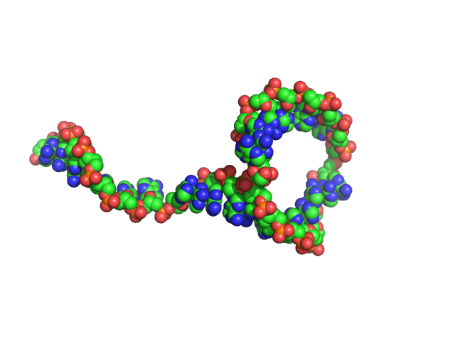 Poly-deoxyadenosine (30mer) CUSTOM IN-HOUSE model