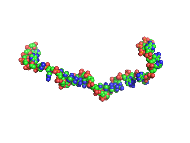 Poly-deoxyadenosine (30mer) CUSTOM IN-HOUSE model