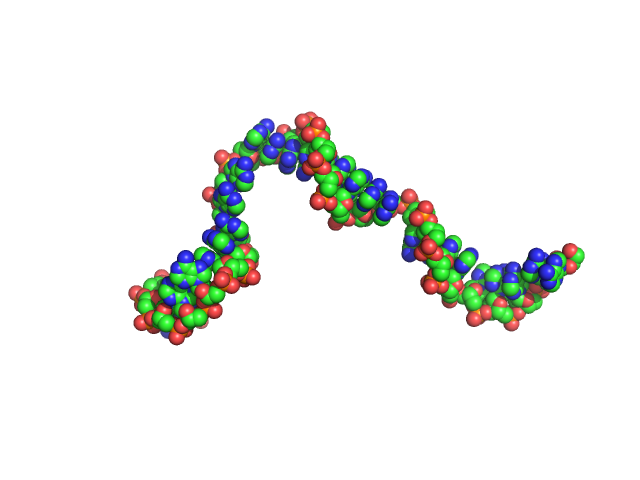 Poly-deoxyadenosine (30mer) CUSTOM IN-HOUSE model