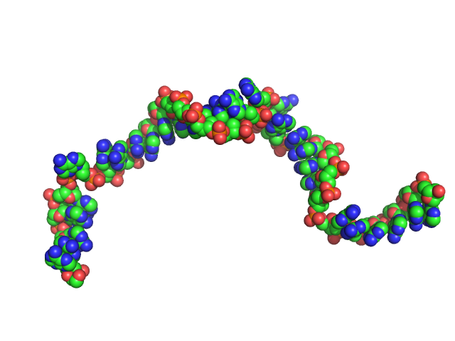 Poly-deoxyadenosine (30mer) CUSTOM IN-HOUSE model