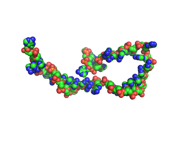 Poly-deoxyadenosine (30mer) CUSTOM IN-HOUSE model