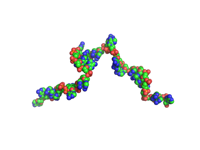 Poly-deoxyadenosine (30mer) CUSTOM IN-HOUSE model