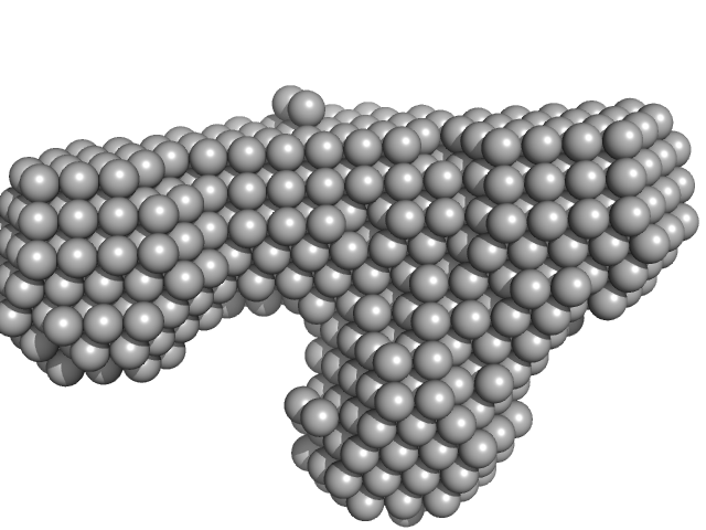 Probable ATP-dependent RNA helicase DDX58 (without CARDs) DAMMIF model
