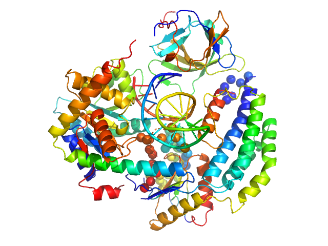 Probable ATP-dependent RNA helicase DDX58 (without CARDs) 5´ppp 10mer hairpin dsRNA CORAL model