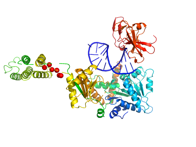 Probable ATP-dependent RNA helicase DDX58 (without CARDs) 5´ppp 8mer hairpin dsRNA EOM/RANCH model