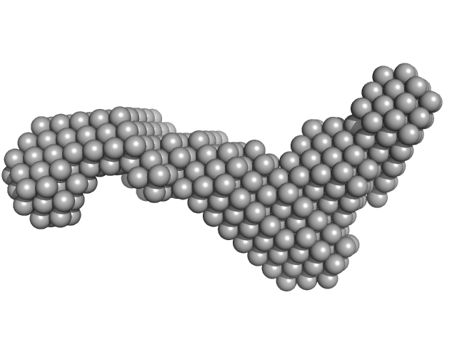 Subdomain SL2' of hepatitis C virus domain 3'X DAMMIN model