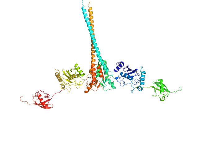 MES-FOXS model