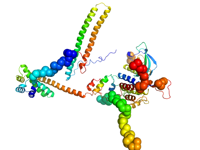 Fibroblast growth factor receptor 3 CORAL model