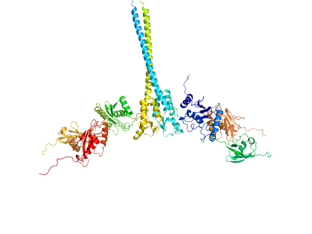 E3 ubiquitin-protein ligase RNF8 Ubiquitin-conjugating enzyme E2 N double mutant (C87K, K92A) Polyubiquitin-C Ubiquitin-conjugating enzyme E2 variant 2 MES-FOXS model