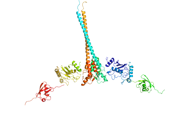 MES-FOXS model