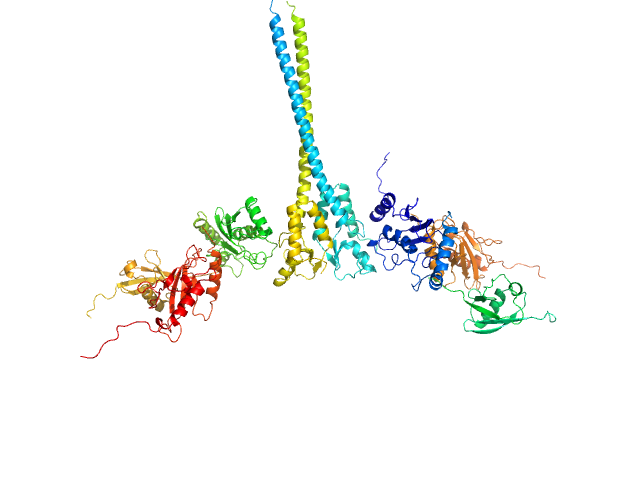 Ubiquitin-conjugating enzyme E2 N double mutant (C87K, K92A) Polyubiquitin-C Ubiquitin-conjugating enzyme E2 variant 2 E3 ubiquitin-protein ligase RNF8 mutant (L451D) MES-FOXS model