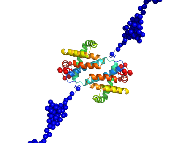 MVA F1L antiapoptotic Bcl-2 viral protein BUNCH model