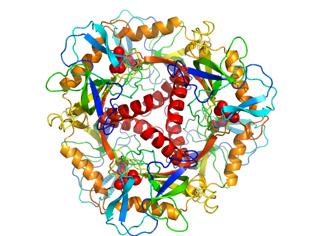 Inorganic pyrophosphatase (PPase) from E. coli SASREF model