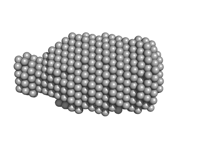 DsbA-like disulfide oxidoreductase (thiol-disulfide exchange protein) DAMMIN model