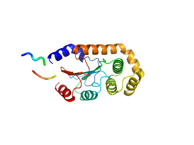 DsbA-like disulfide oxidoreductase (thiol-disulfide exchange protein) CORAL model
