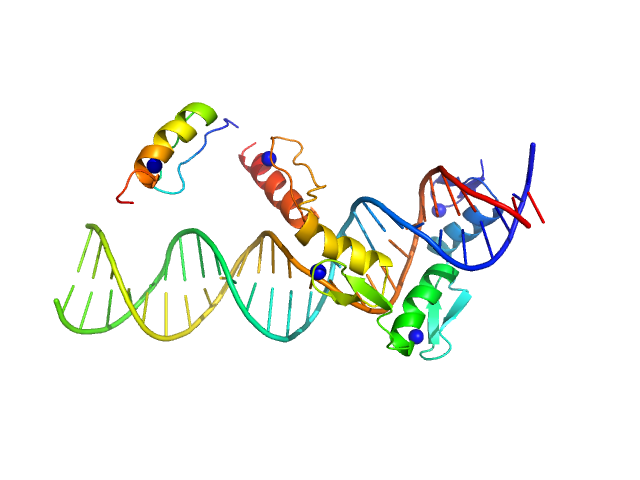 Zinc finger and BTB domain-containing protein 38 methylated C-terminal ZBTB38 binding sequence HADDOCK model