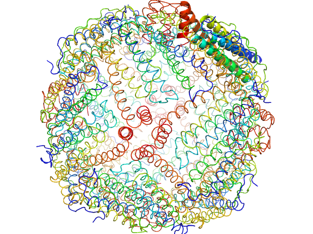 Horse spleen apoferritin PDB (PROTEIN DATA BANK) model