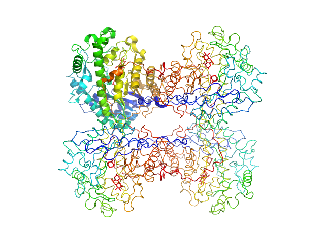 Beta-amylase PDB (PROTEIN DATA BANK) model