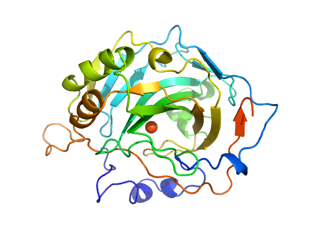 Carbonic anhydrase 2 PDB (PROTEIN DATA BANK) model