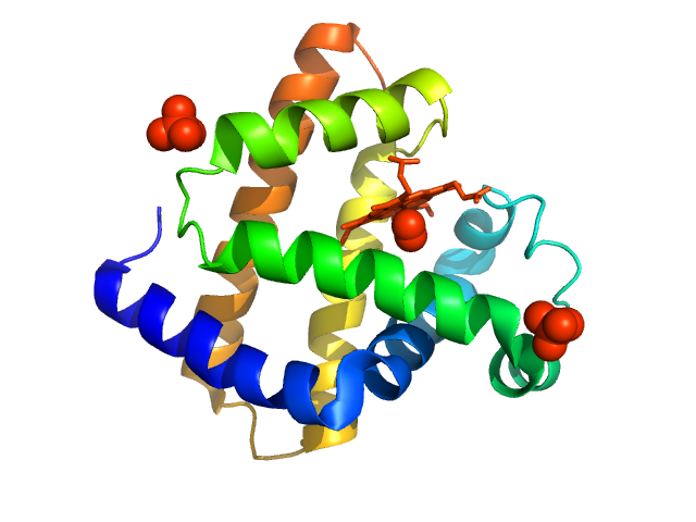 Myoglobin PDB (PROTEIN DATA BANK) model