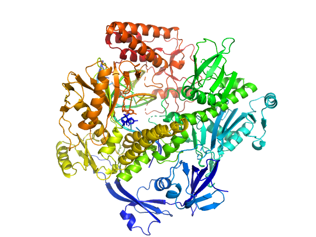 DNA polymerase E9 exo- mutant DNA oligomer template-primer hairpin PYMOL model
