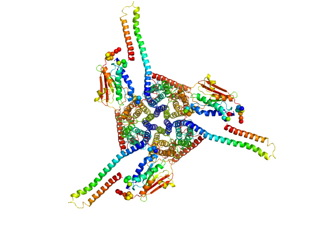 CORAL model