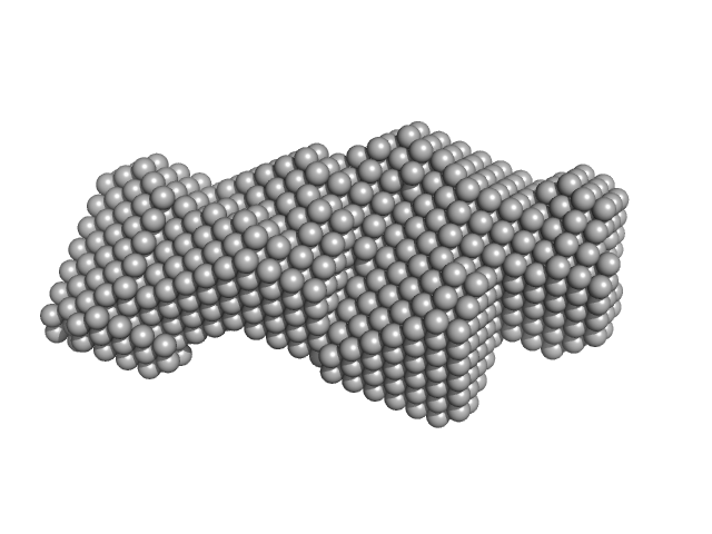 DAMMIF model