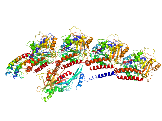 Designed Ankyrin Repeat Protein D1 Kinesin-like protein KIF2A Tubulin alpha-1B chain Tubulin beta-2B chain PDB (PROTEIN DATA BANK) model