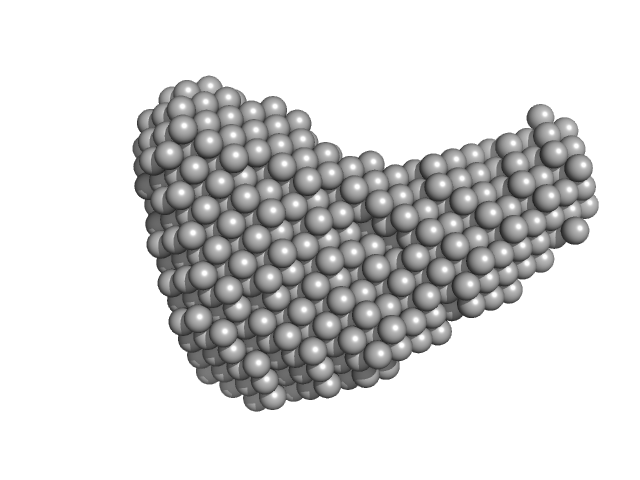 Rap guanine nucleotide exchange factor 3 RAS related protein 1b DAMMIF model