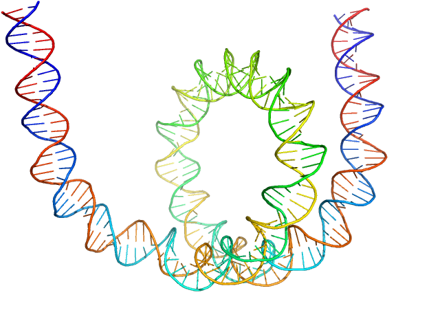 Chromodomain-helicase-DNA-binding protein 1 169 bp DNA (145 bp Widom 601, flanked by 12bp DNA) Histone H2A type 1 Histone H2B 1.1 Histone H3.2 Histone H4 CUSTOM IN-HOUSE model