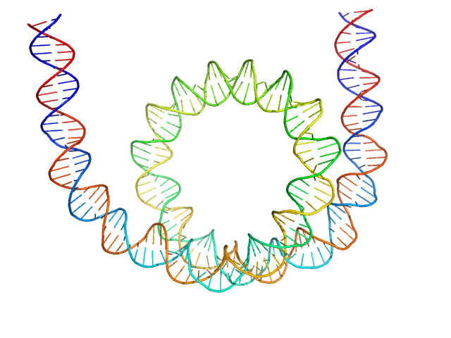 Chromodomain-helicase-DNA-binding protein 1 169 bp DNA (145 bp Widom 601, flanked by 12bp DNA) Histone H2A type 1 Histone H2B 1.1 Histone H3.2 Histone H4 CUSTOM IN-HOUSE model