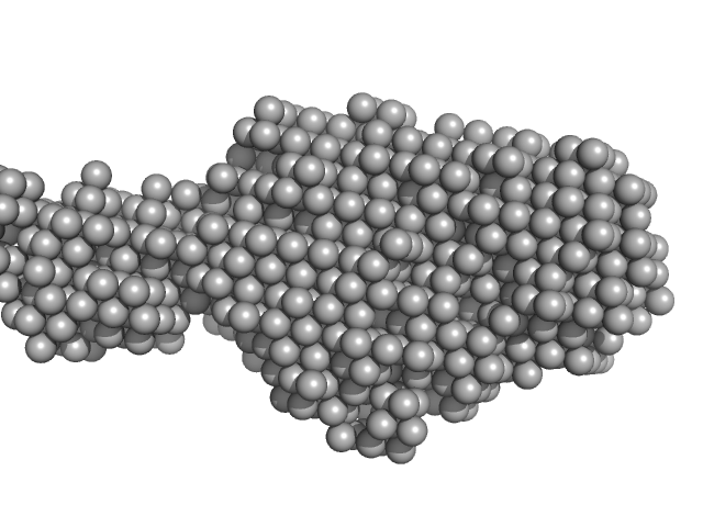 Homeobox protein TGIF1 DAMMIF model