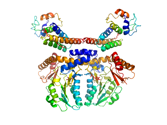 PDB (PROTEIN DATA BANK) model