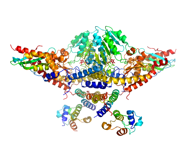 PDB (PROTEIN DATA BANK) model