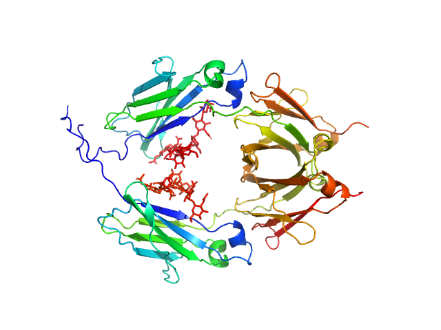 Glycosylated human immunoglobulin G Fc region MODELLER model