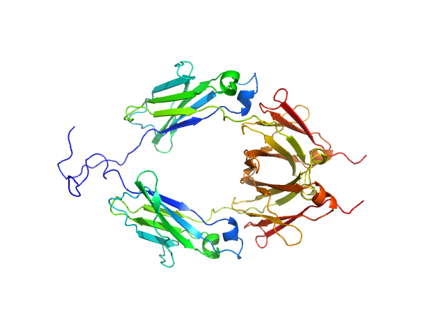 Aglycosylated human immunoglobulin G Fc region MODELLER model