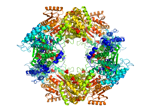 PDB (PROTEIN DATA BANK) model