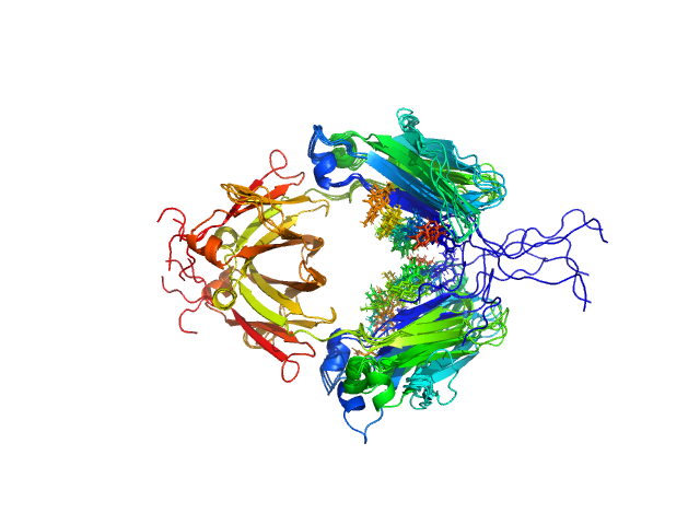 BILBOMD model