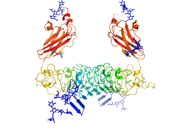 Leucine-rich repeat and fibronectin type-III domain-containing protein 4 EOM/RANCH model