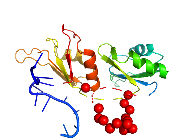 Sasddz4 1 1 Mixture Between Protein Sex Lethal Mutant Sxl10gs And