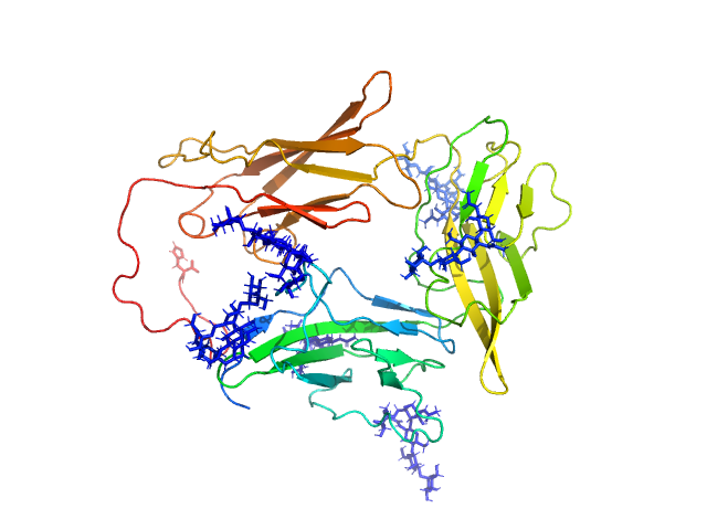 BILBOMD model