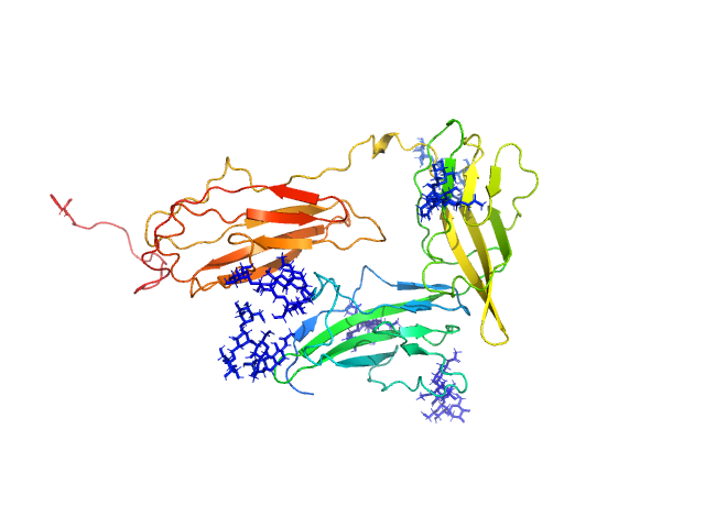 BILBOMD model