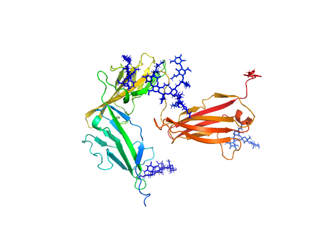 BILBOMD model