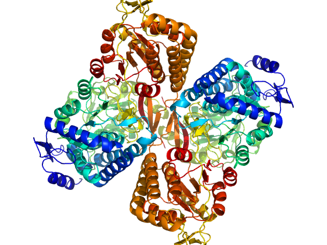 PYMOL model