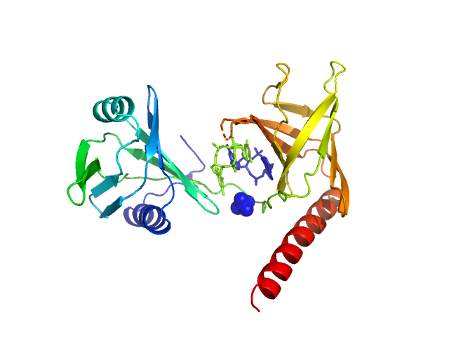 PDB (PROTEIN DATA BANK) model