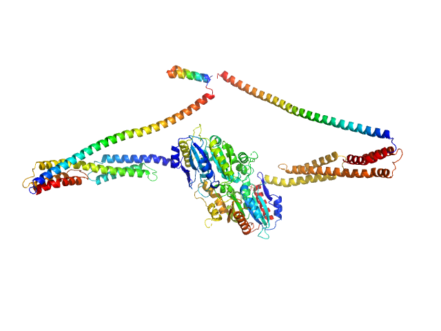 human Guanylate-binding protein 1 PYMOL model